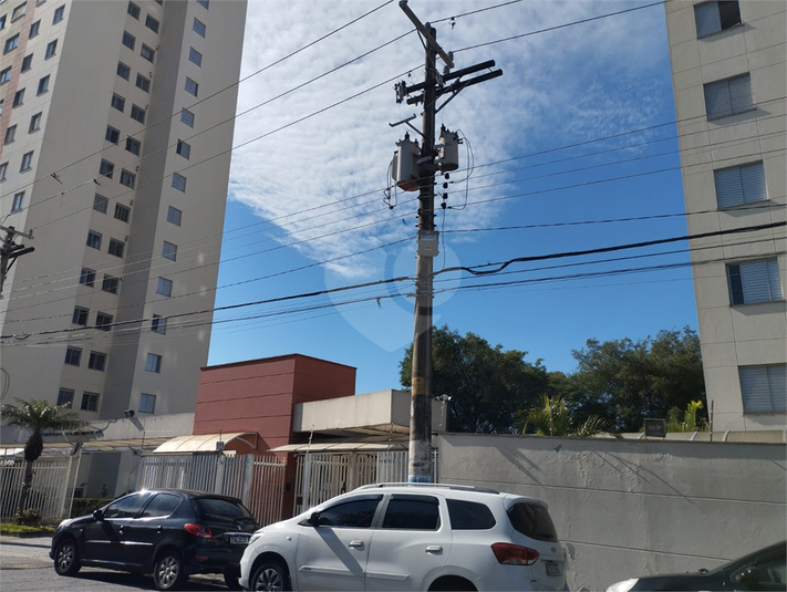 Foto REO1083144