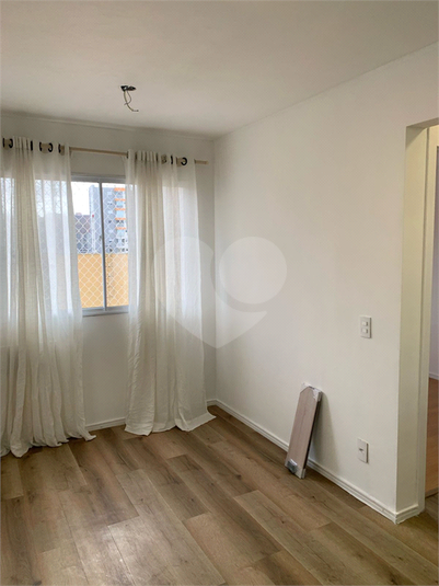 Foto REO1083179