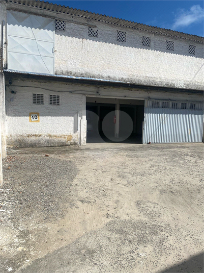 Foto REO1083193