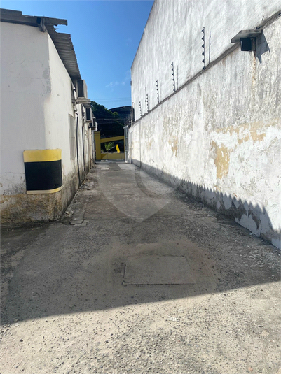 Foto REO1083193