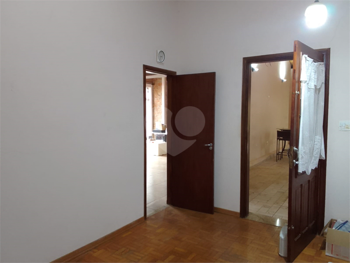 Foto REO1083197