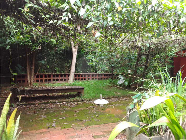 Foto REO1083197
