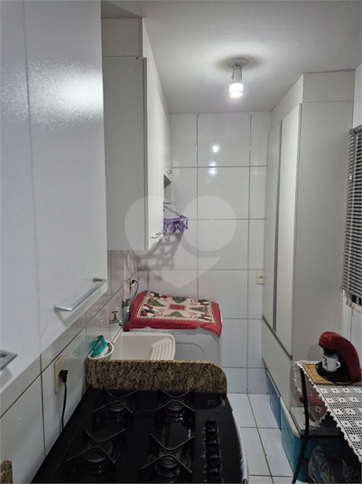 Foto REO1083204