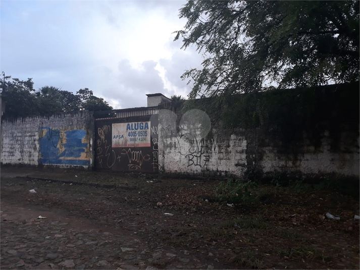Foto REO1083222