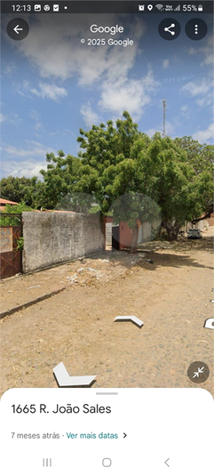 Foto REO1083222