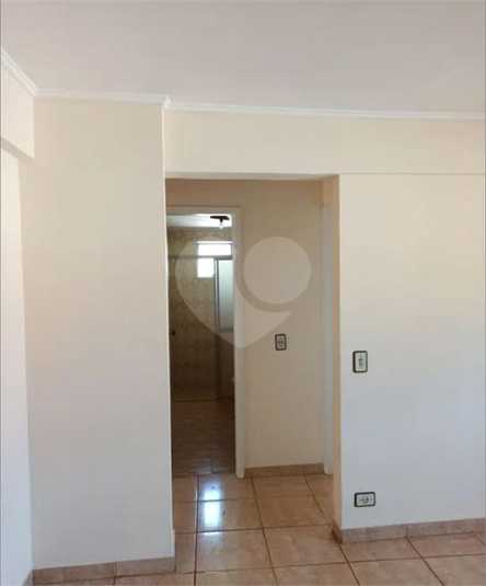 Foto REO1083239