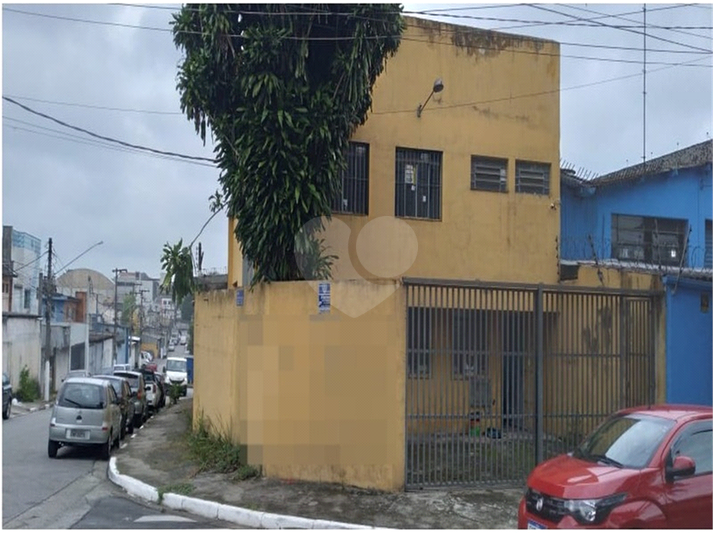 Foto REO1083247