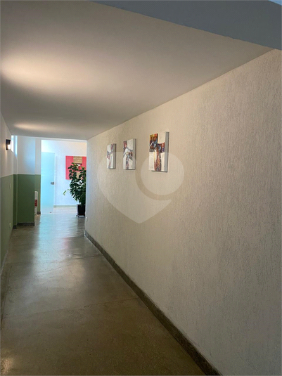 Foto REO1083254