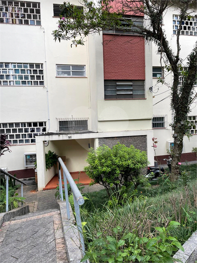 Foto REO1083258