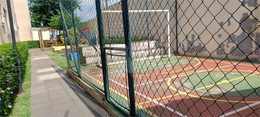 Foto REO1083262
