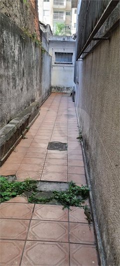 Foto REO1083290