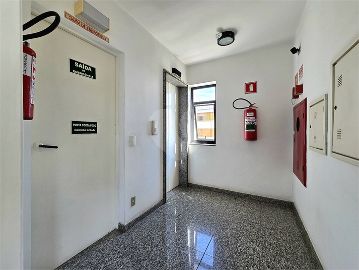 Foto REO1083304