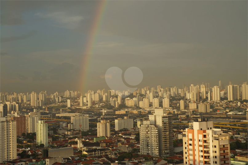 Foto REO1083307