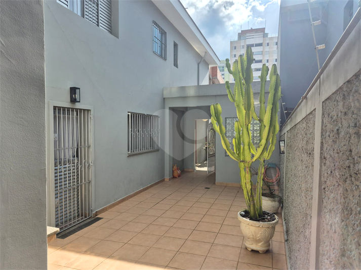 Foto REO1083310