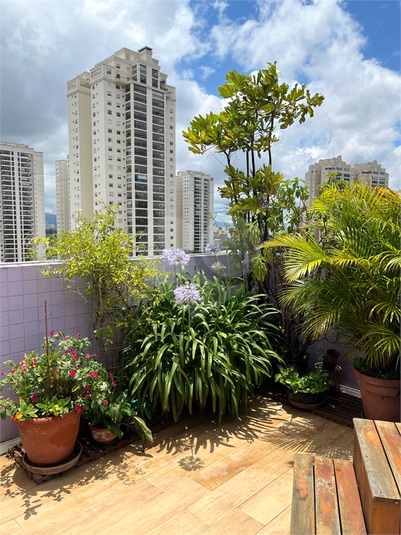 Foto REO1083312