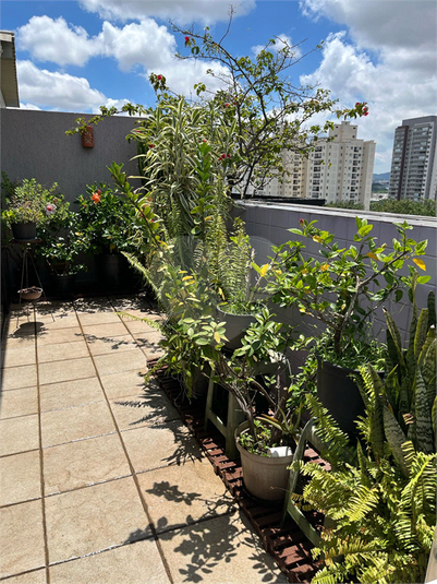 Foto REO1083312