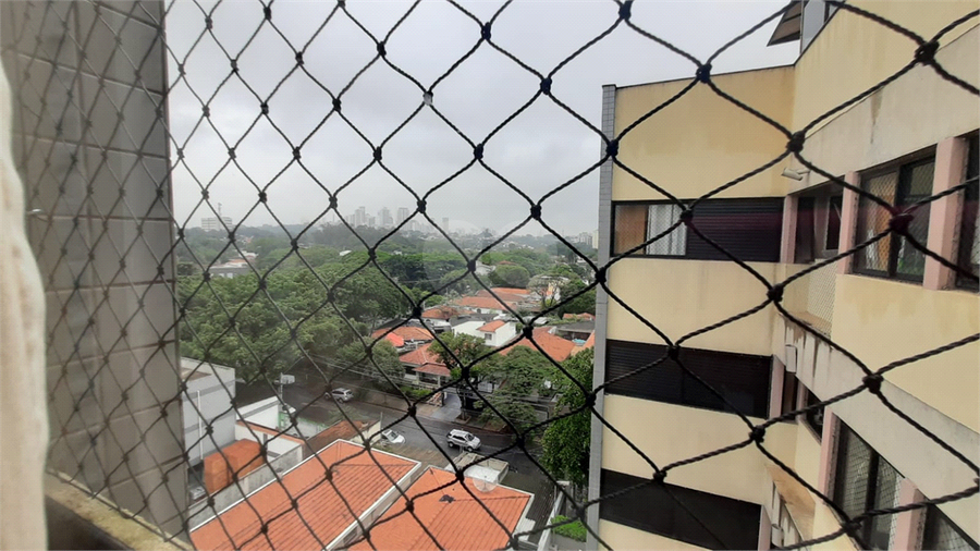 Foto REO1083312