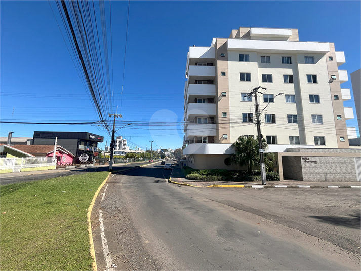Foto REO1083328