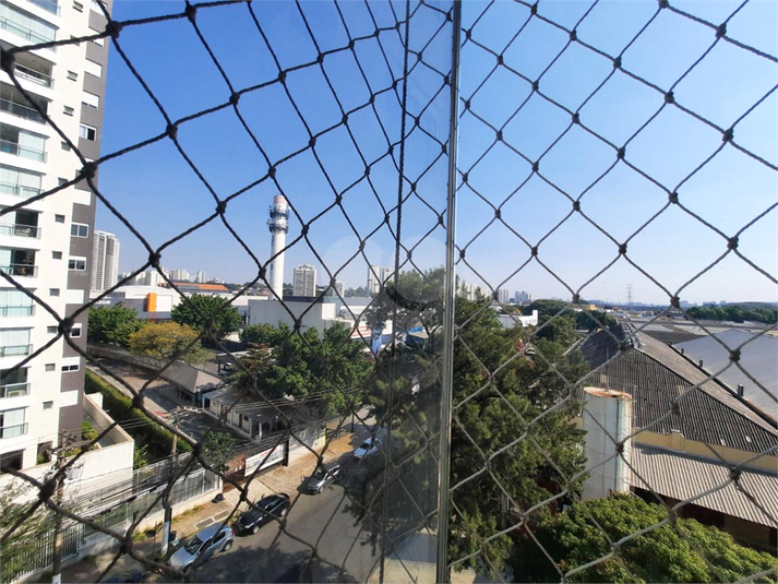 Foto REO1083330