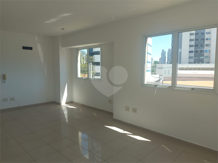 Foto REO1083338