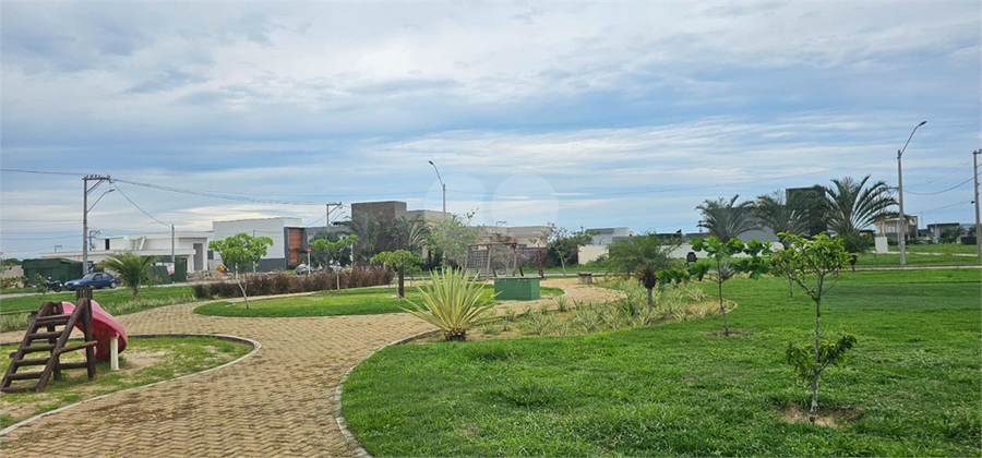 Foto REO1083349