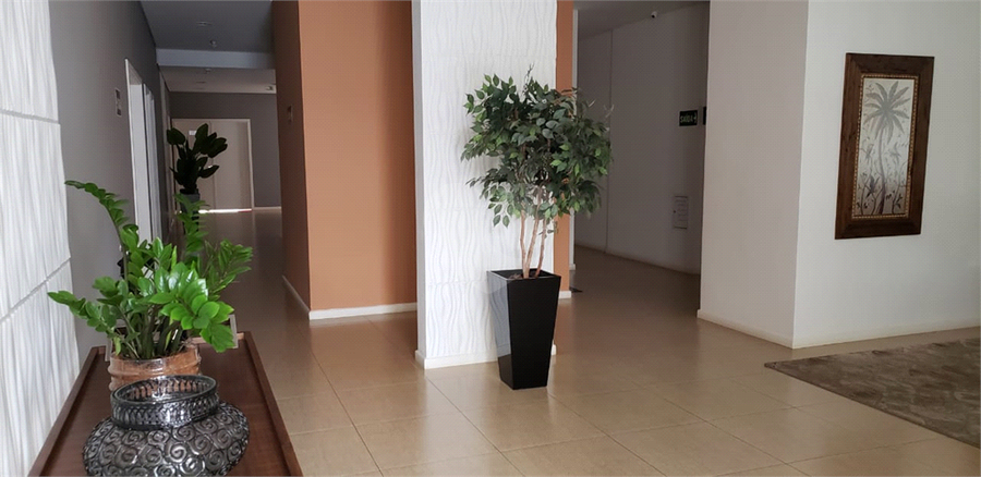 Foto REO1083367