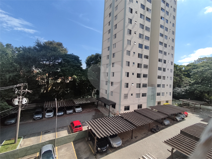 Foto REO1083376