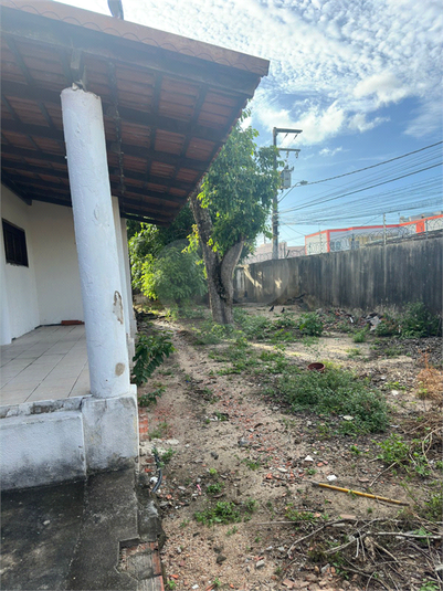 Foto REO1083410