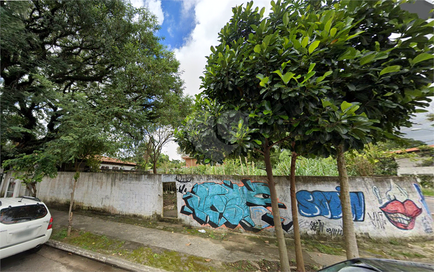 Foto REO1083412