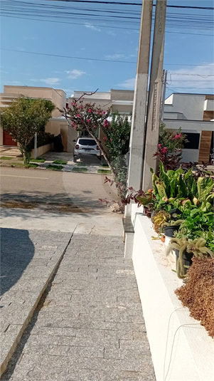 Foto REO1083438