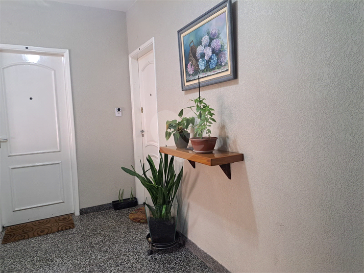 Foto REO1083439