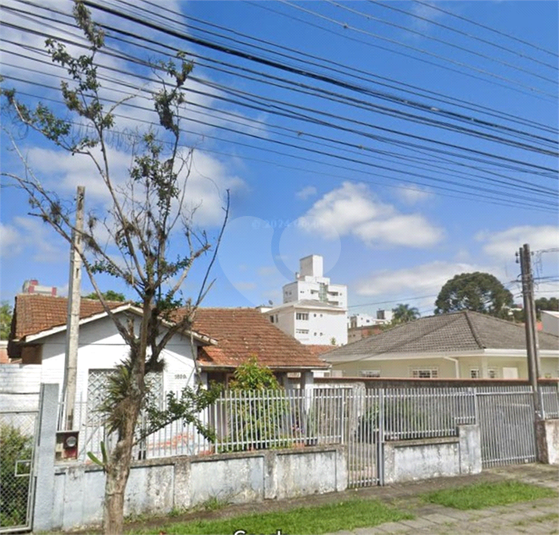 Foto REO1083460