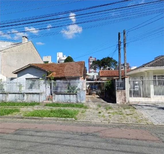 Foto REO1083460