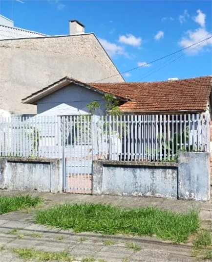 Foto REO1083460