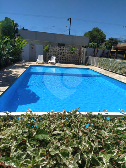 Foto REO1083504