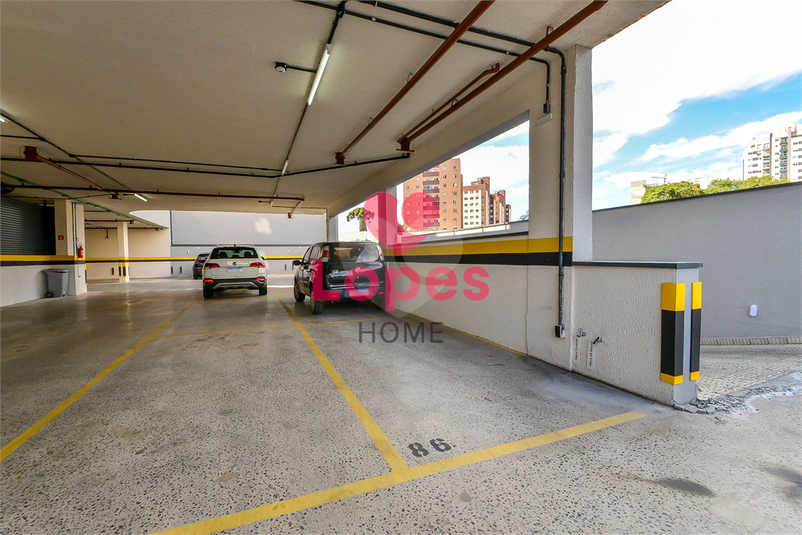 Foto REO1083540
