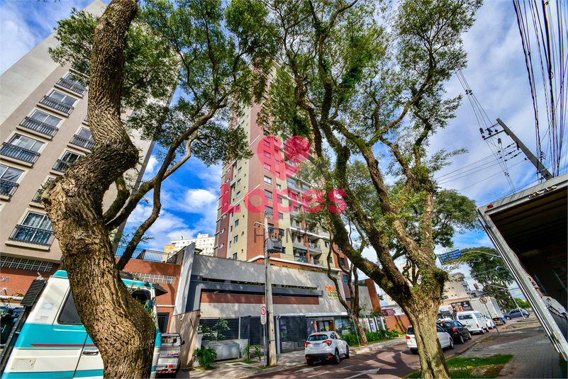 Foto REO1083540