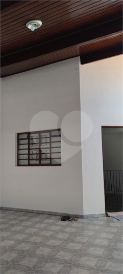 Foto REO1083552