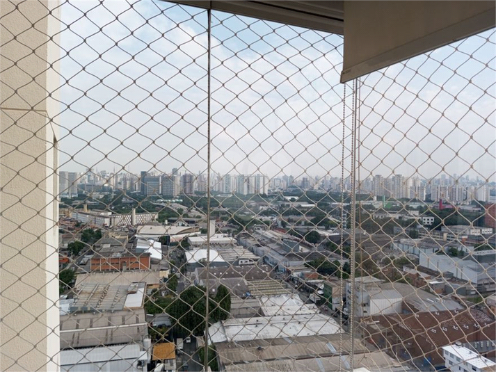 Foto REO1083616