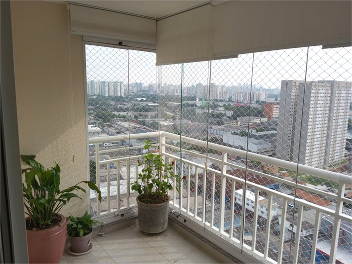 Foto REO1083616