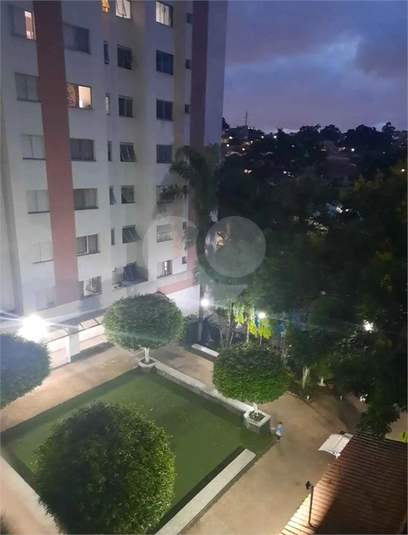 Foto REO1083639