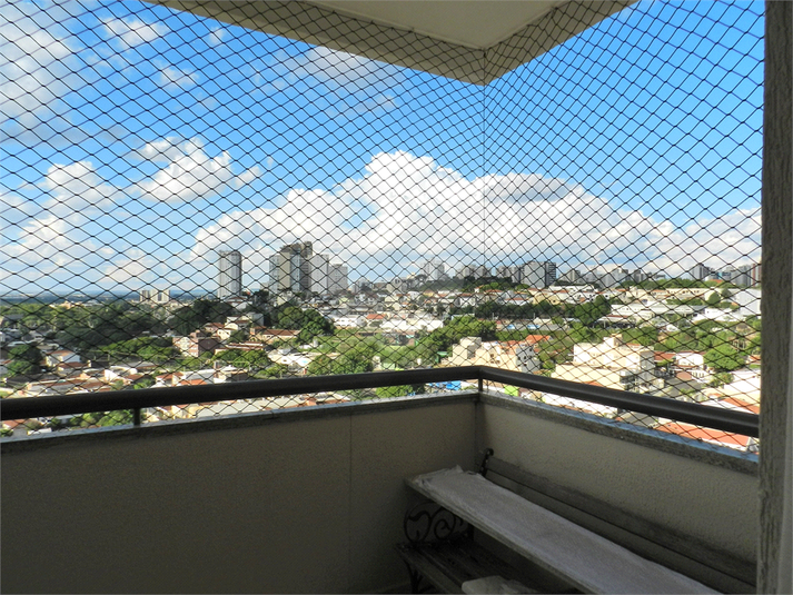 Foto REO1083672