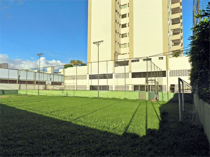 Foto REO1083672