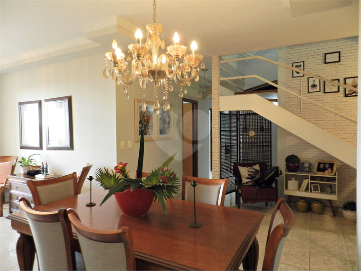 Foto REO1083672