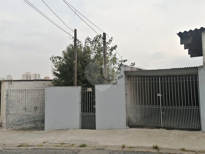 Foto REO1083673