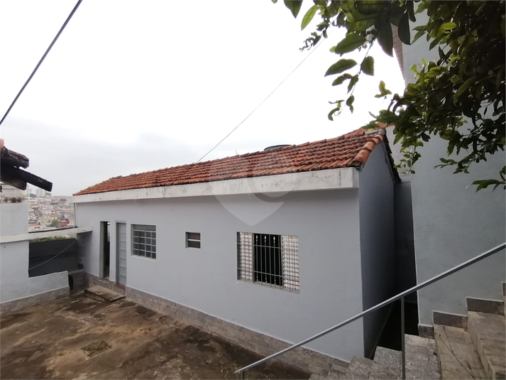 Foto REO1083673