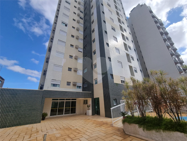 Foto REO1083675