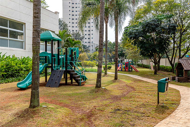 Foto REO1083678