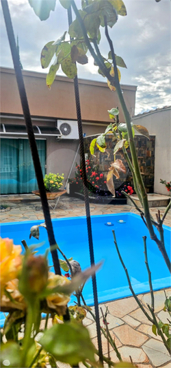 Foto REO1083683