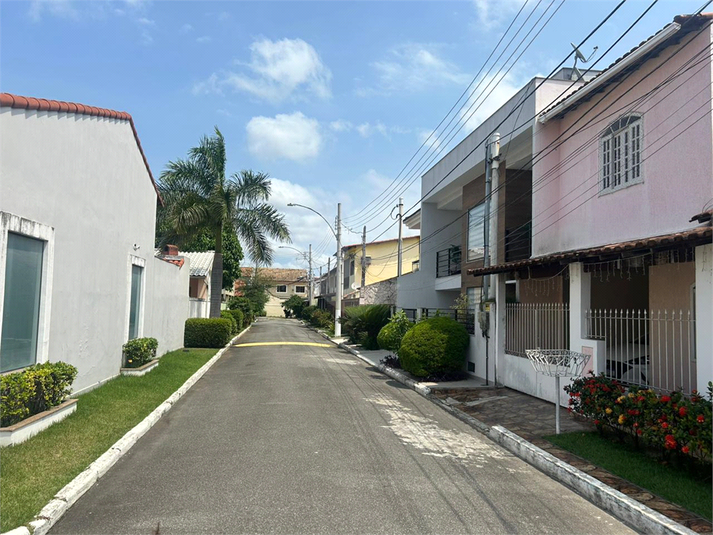 Foto REO1083699